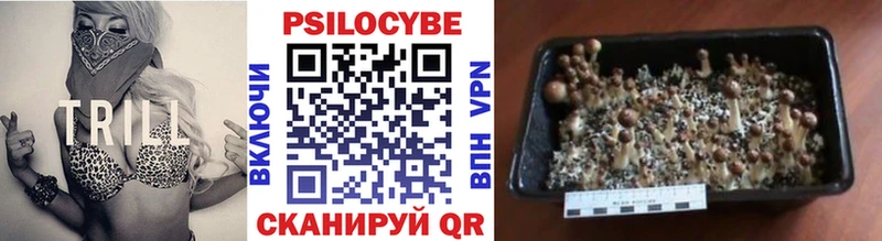 Галлюциногенные грибы мухоморы  Верея 